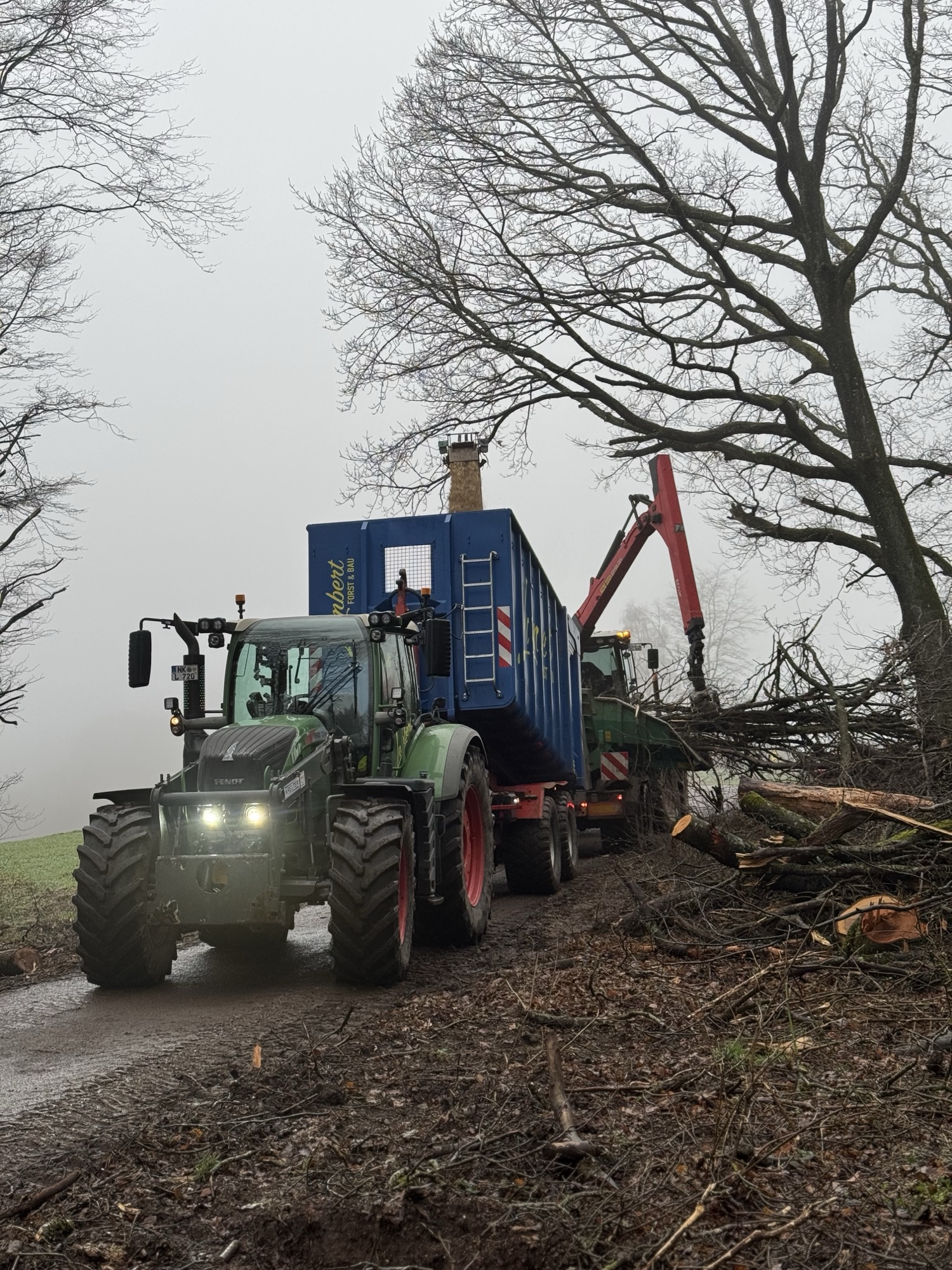 Infrastruktur – Rodung Steinertshaus im Saarland